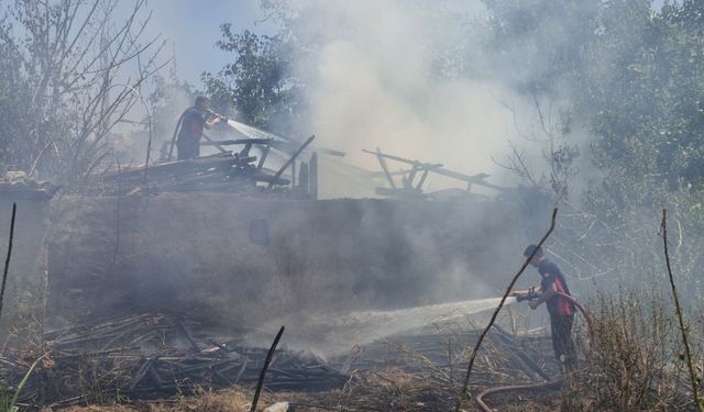 Tokat'ta otları yakmak isteyen kişinin başlattığı yangın odunluğa sıçradı