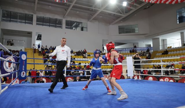 Üst Minik Erkekler ve Kadınlar Türkiye Ferdi Boks Şampiyonası, Bayburt'ta devam ediyor