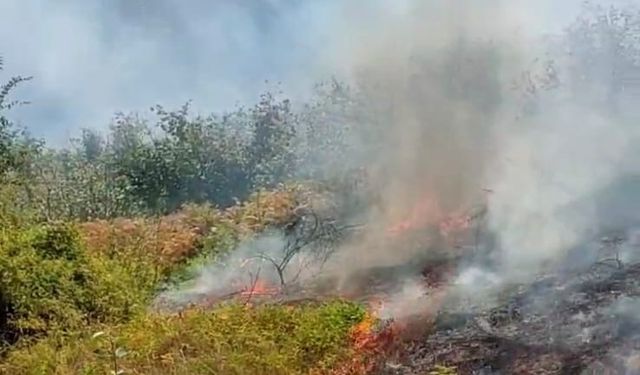TIRPAN MOTORU PATLADI, YANGIN ÇIKTI