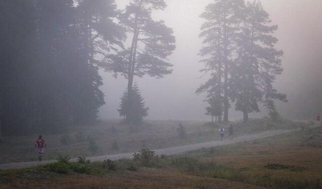 Bolu'da 3. Uluslararası Ultra Abant Patika Koşu Yarışması düzenlendi