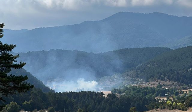 Bolu'da çalılık alanda çıkan yangın söndürüldü