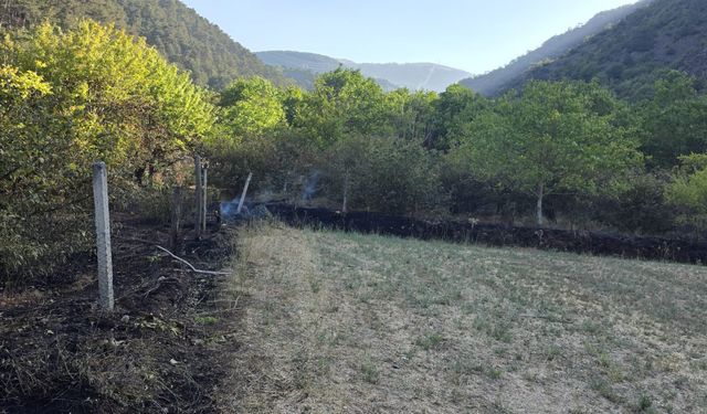 Bolu'da örtü yangını ormanlık alana sıçramadan söndürüldü