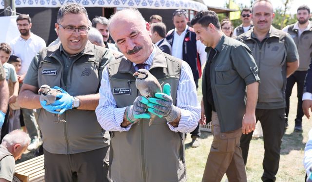 Çorum'da 300 keklik doğaya bırakıldı