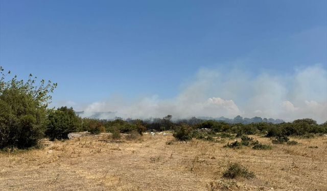 GÜNCELLEME 2 - Bursa'da çıkan orman yangını kontrol altına alındı
