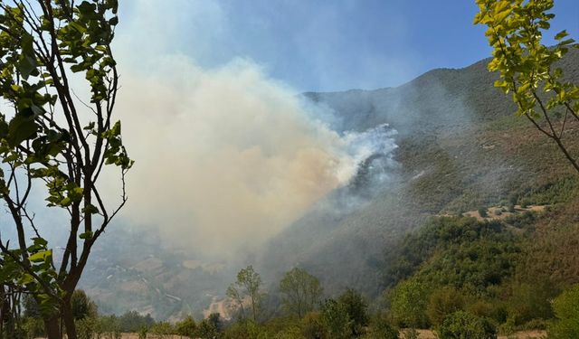 ORMANLIK ALANDA YANGIN