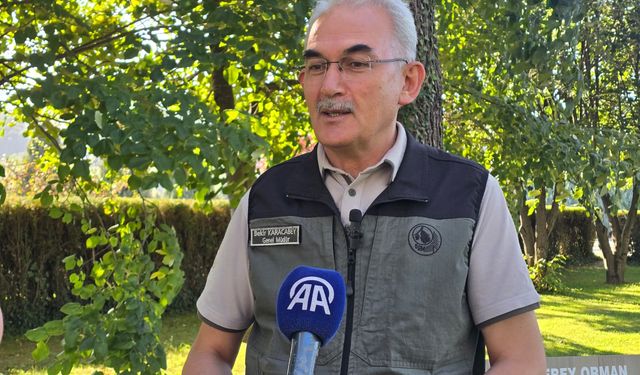 'YANGINLARIN NEDENİ İHMAL VE DİKKATSİZLİK'