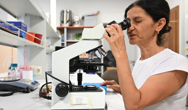 'İKLİM, KESTANE BALININ İÇERİĞİNİ ETKİLEDİ'