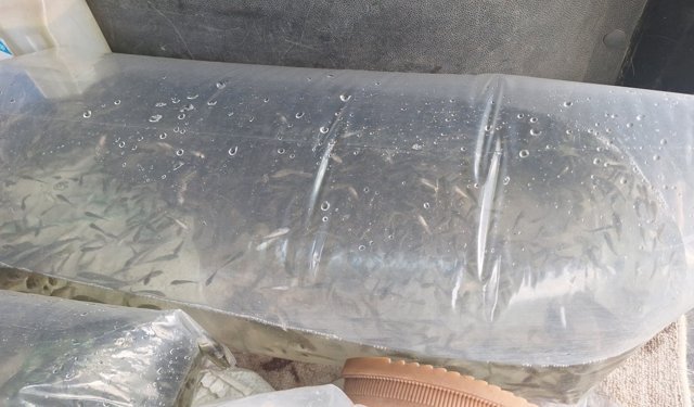 ÜREME DÖNEMİNE TAM KORUMA