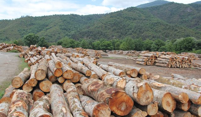 ÇAYCUMA ORMAN İŞLETME MÜDÜRLÜĞÜ