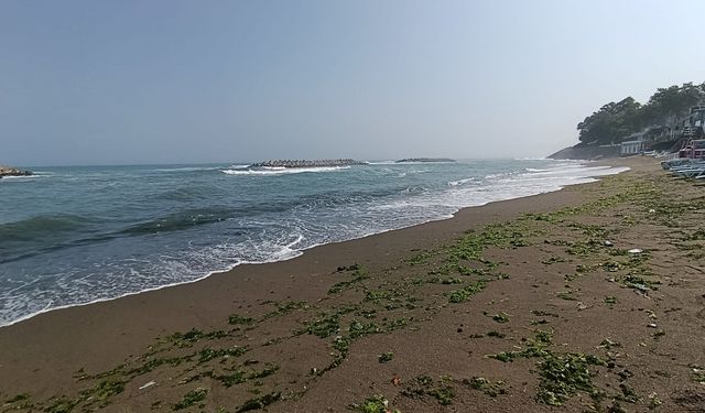 DENİZE GİRMEK YASAKLANDI