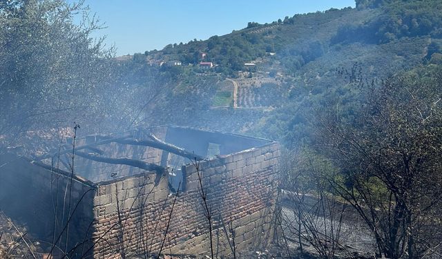 Samsun'da fındık bahçesinde çıkan yangın ormana sıçramadan söndürüldü