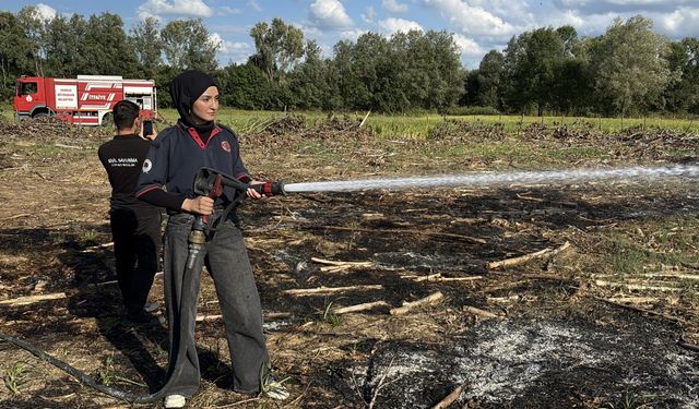 Samsun'da tarlada çıkan yangın ormanlık alana sıçramadan söndürüldü