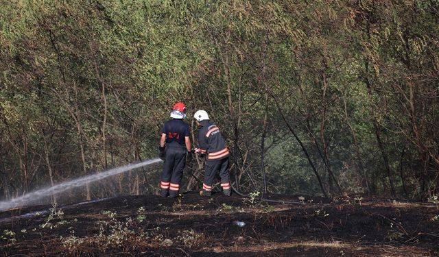 Trabzon'da çıkan örtü yangını söndürüldü