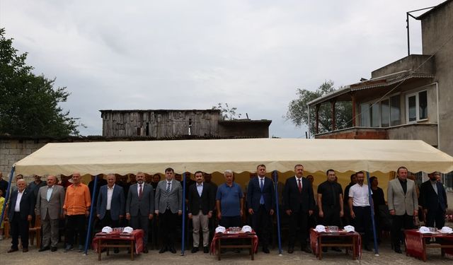 Trabzon'da coğrafi işaretli "Arsin Foşa fındığı" hasadı başladı