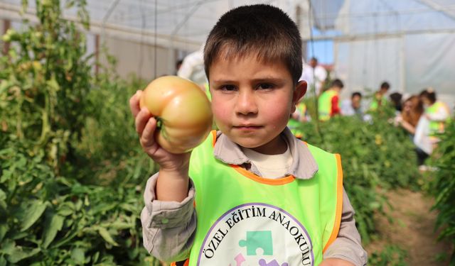 Bayburt'ta özel öğrenciler okul bahçesinde yetiştirilen sebzeleri hasat etti