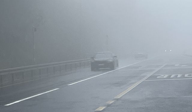 Bolu Dağı'nda sağanak ve sis etkili oluyor
