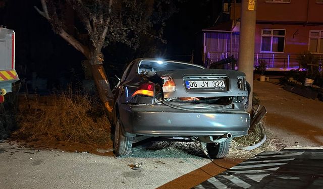 Bolu'da ağaca çarpan otomobildeki 2 kişi yaralandı