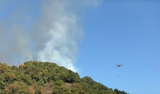 Düzce'de çıkan orman yangınına müdahale ediliyor