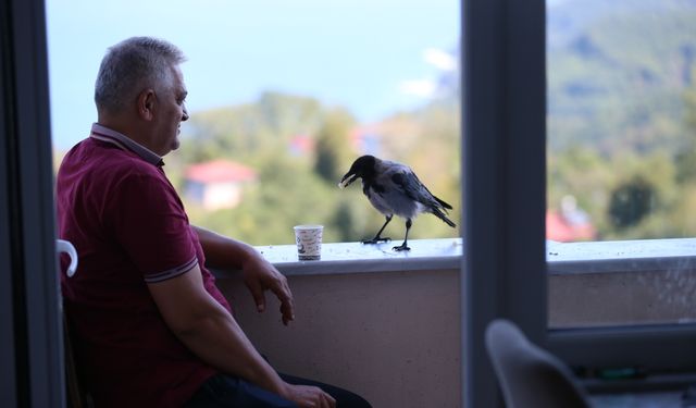 Fındık ikram ettiği kargayla dostluk kurdu