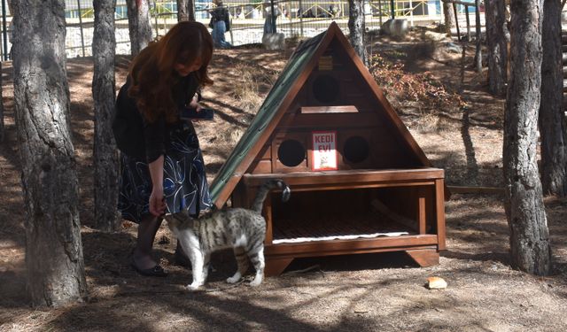 Gümüşhane Üniversitesi'nde 'Kedi Evleri' kuruldu