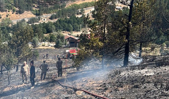 Gümüşhane'deki örtü yangını söndürüldü