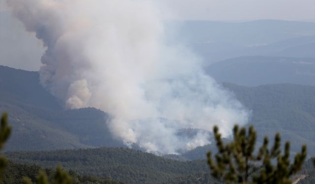 Kastamonu-Karabük sınırında çıkan ikinci yangına müdahale ediliyor