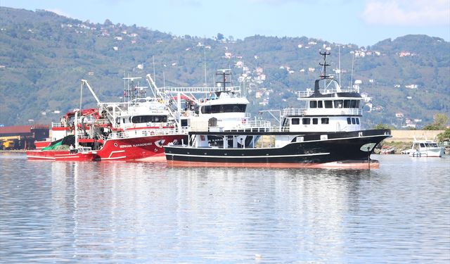 Ordu'da balıkçılar limana kasalar dolusu hamsiyle döndü