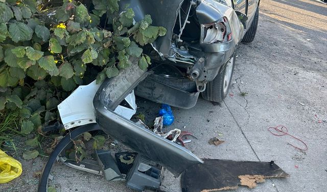 Ordu'da otomobilin hız denetimi yapan radar aracına çarptığı kazada 2 kişi yaralandı