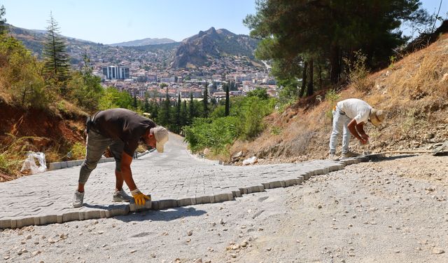 Tokat Belediyesi Ali Mezarlığı'nda düzenleme çalışmaları yaptı