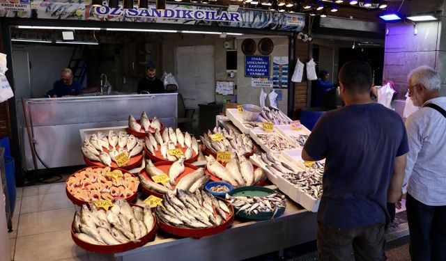 Trabzon'da balıkçı tezgahlarını istavrit ve mezgit süslüyor