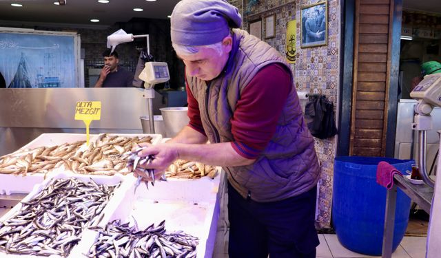Trabzon'da hamsinin kilogramı 150 liradan satılıyor