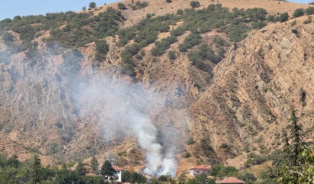 Uğurludağ'da çıkan ot yangını söndürüldü