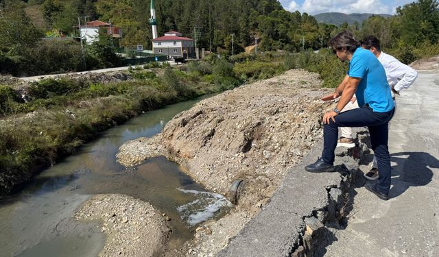 BALIK ÖLÜMLERİNE NEDEN OLAN KİRLİLİĞE TEPKİ