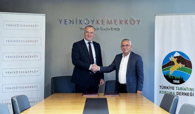 YK Enerji ile TTKD taşınan zeytin ağaçlarının takibi için protokol imzaladı