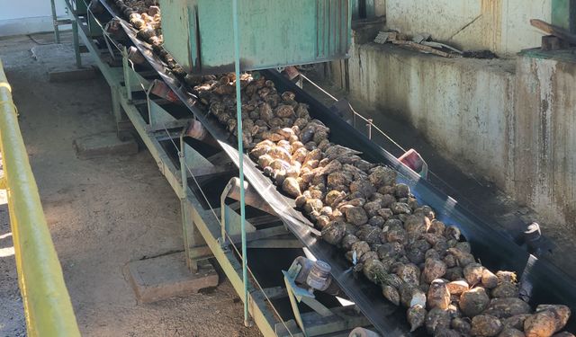 Amasya Şeker Fabrikası'nda 72. pancar alım kampanyası için tören düzenlendi