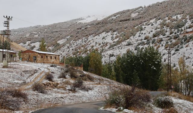 Bayburt, Rize ve Gümüşhane'nin yüksek kesimlerinde kar yağışı etkili oldu