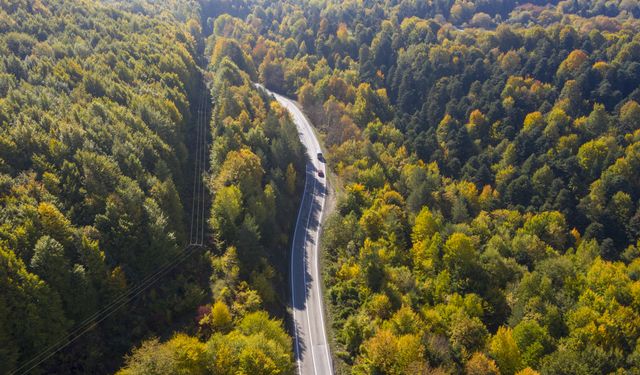 Bolu'da ormanlık alanlar sonbahar renklerine büründü