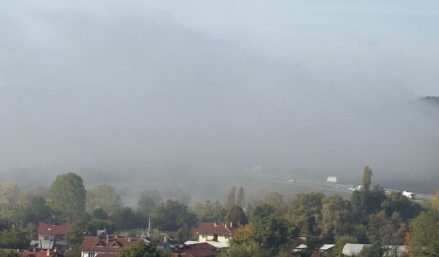 Bolu'da sis etkili oldu