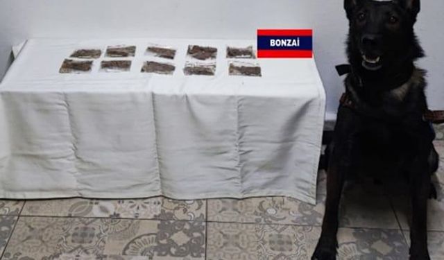 Bolu'da uyuşturucu operasyonunda 7 şüpheli gözaltına alındı