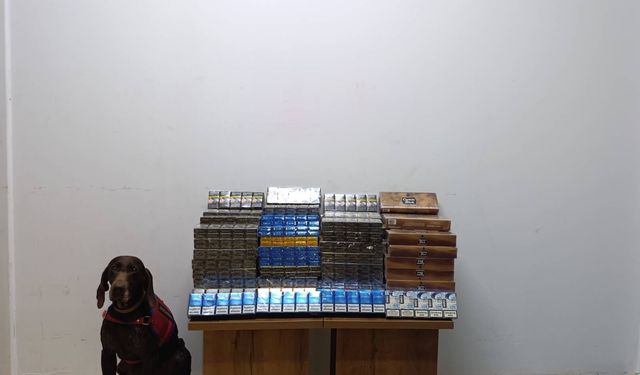 Bolu'da yolcu otobüsünde 1650 paket kaçak sigara ele geçirildi