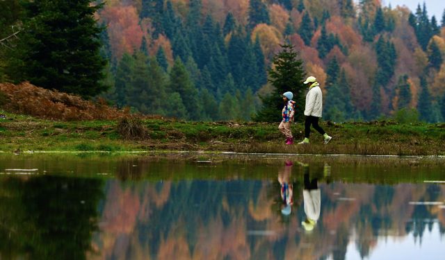 Düzce, Sakarya ve Bolu'da sonbaharın tonları doğayı renklendirdi