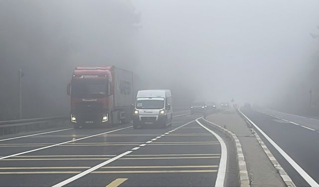 Düzce ve Bolu'da sis etkili oldu