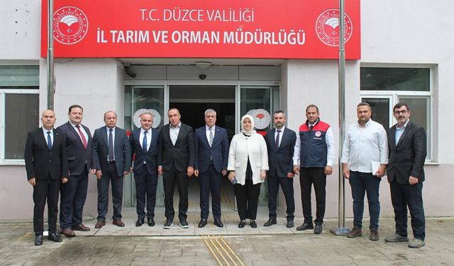 Düzce'de kahverengi kokarca zararlısıyla mücadele toplantısı gerçekleştirildi