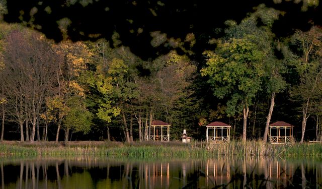 Düzce'deki Korugöl Tabiat Parkı ziyaretçilerini sonbahar manzarasıyla ağırlıyor