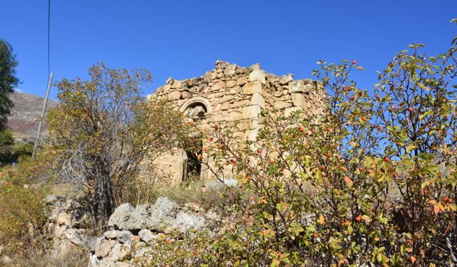 Gümüşhane'deki Krom Vadisi'nde kiliselerin depreme dayanıklılığı araştırılıyor