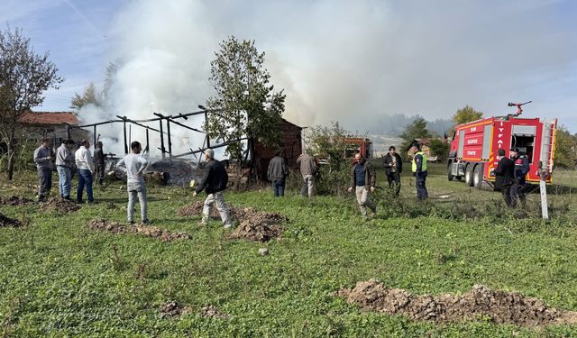 YANGIN, 36 ARI KOVANI ZARAR GÖRDÜ