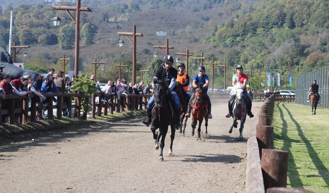 Ordu'da Cumhuriyet Kupası Rahvan At Yarışları düzenlendi