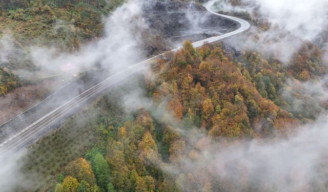Ordu'da etkili olan sis sonbahar renkleriyle güzel görüntü oluşturdu