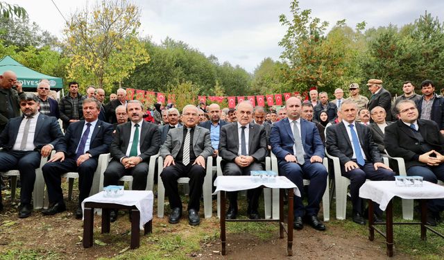 Ordu'da tescilli Akkuş şeker fasulyesinin hasadına başlandı