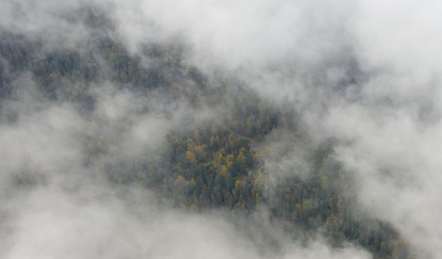Sisle kaplanan Yedigöller yolu dronla görüntülendi